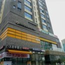 퍼피하우스 인천송도점 | 인천포메라니안분양 이쁜이들의 천국 퍼피하우스 인천송도점