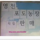 영천농업협동조합남부지점 이미지