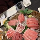 정참치 이미지