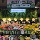 모던리빙 | 원주 모던하우스 행구점 방문 후기_원주 리빙 소품 쇼핑