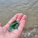 바다 품은 석고 방향제 이미지