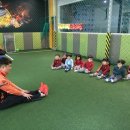 (주)아이비스포츠 Daum카페