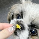 포우농장 이미지