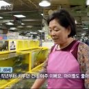 다큐 3일에 출연한 반려 가오리 이미지