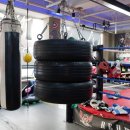 앨바트로 복싱 이미지