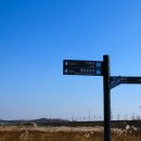 푸른강변 이미지