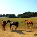 밝은마음 이미지