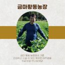 금마농장 이미지