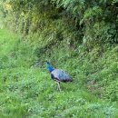 스파밸리 | 대구 스파밸리 후기 | 아이랑 물놀이장 워터파크 준비물 할인 &amp; 주차팁 정리