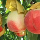 율어농장 이미지