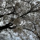 팔현1리 마을회관 이미지