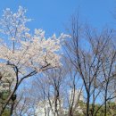 꽁비엔(CONG VIEN) 이미지