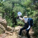 8월 2일(일)산행후기 이미지