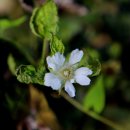 벌곡(대전) 이미지