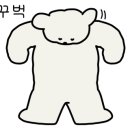에이스실내테니스장