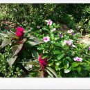 해영농장 이미지