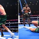 C.M. 복싱 이미지