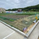 원주역세권부동산공인중개사사무소 이미지