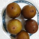 골드농장 | 농라 <산뜨락농장> 유기농 골드키위 소과 5kg 후기