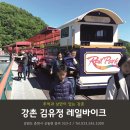 또오리 강촌 조형물 | 강촌 김유정 레일바이크, 숨겨진 보물 같은 여행지에서의 특별한 경험!