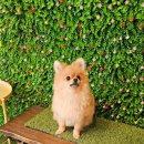 간식놀이터 이미지