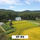 알파고공인중개사사무소 이미지