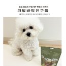 개발바닥 | 곤충단백질로 만든 건강한 강아지 간식 '개발바닥친구들' 후기