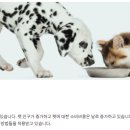 농업회사법인 그린바이오 주식회사 이미지