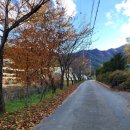 바우개펜션 이미지