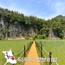 지게마을 | 원빈 이나영 결혼한 그곳, 정선 근처 가볼만한곳 덕우리 청보리밭