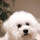 안녕아가 이미지