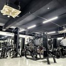 터틀짐(Turtle Gym) 이미지