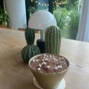 DB PC CAFE 이미지