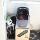 비비펫동물병원 이미지