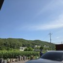 맷돌카페 | 울산 울주카페 다람살라목탁새 아이스아메리카노 맷돌커피 후기
