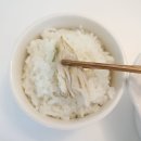 수제전집
