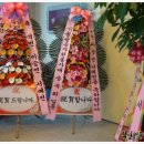 (사)솔솔송자원봉사대 이미지