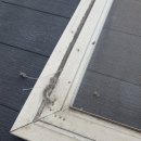 수원정자금강에스쁘아(아) | 수원시 정자동 미세촘촘망 교체작업!