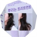 올영세일 올리브영 추천템 노워시 트리트먼트