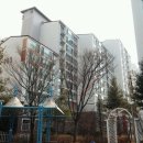 서구-02-49 이미지