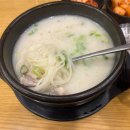 미사리 밀빛 초계국수(칼국수) | 든든한 한 끼! 삼성역 코엑스 미사리 밀빛 초계국수 칼국수 솔직 후기(내돈내산)