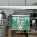 바라 | 제주 소품샵 하피바라클럽 후기 제주 기념품샵 추천