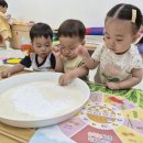 삼봉미(米)인 논두레 전통 손 모심기 이미지