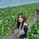 상경농장 이미지