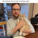 남편이랑 고양이 생일이 비슷해서 같이 파티하려구요🎂 이미지