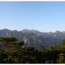 외라농장 이미지