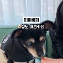 피피비피