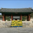 용의꼬리 이미지