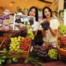 신세계농장 이미지