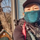 장호초교 | 해파랑길 27,28,29코스 후기 3 (6차)